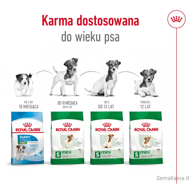 Royal Canin Mini Ageing 12+ Adult Sausas šunų maistas 3,5 kg 2
