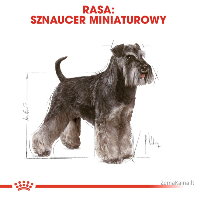 ROYAL CANIN Miniature Schnauzer Adult - sausas maistas šunims - 3 kg 2