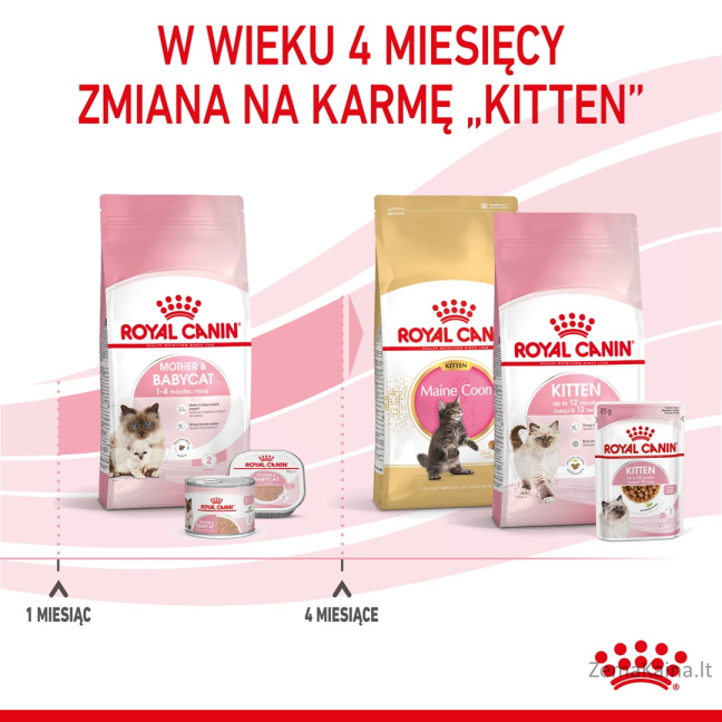 Royal Canin Mother & Babycat sausas kačių maistas 4 kg Suaugusių Paukštiena 10