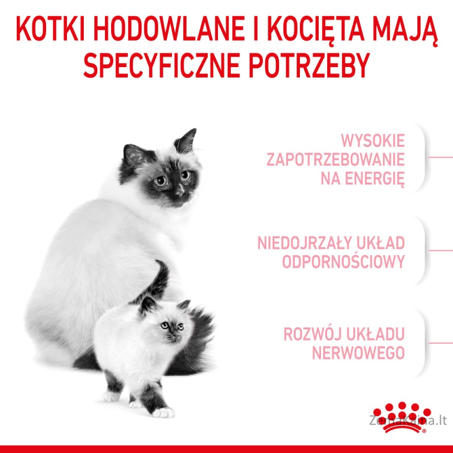 Royal Canin Mother & Babycat sausas kačių maistas 4 kg Suaugusių Paukštiena 3