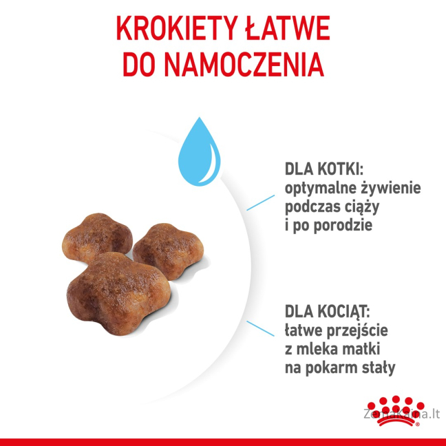 Royal Canin Mother & Babycat sausas kačių maistas 4 kg Suaugusių Paukštiena 4
