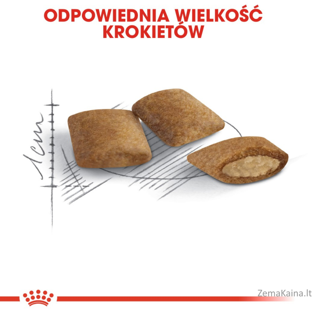 Royal Canin Senior Ageing 12+ sausas kačių maistas Paukštiena, Daržovių 0,4kg 6