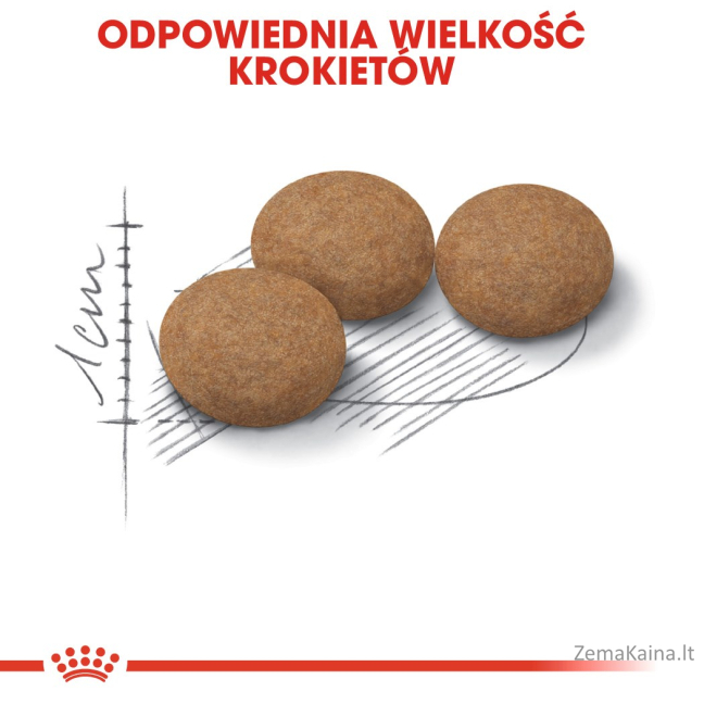 Royal Canin Senior Ageing Sterilised 12+ sausas kačių maistas 4 kg Kukurūzas, Paukštiena, Daržovių 6