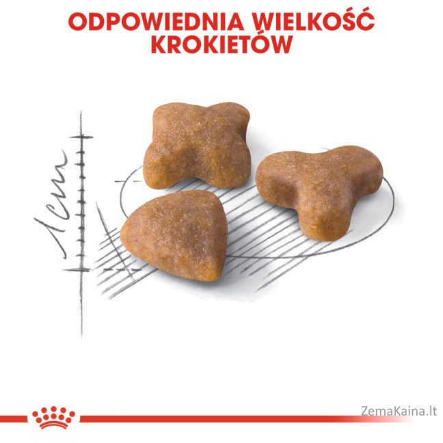 Royal Canin Sensible 33 sausas kačių maistas 10 kg Adult 4