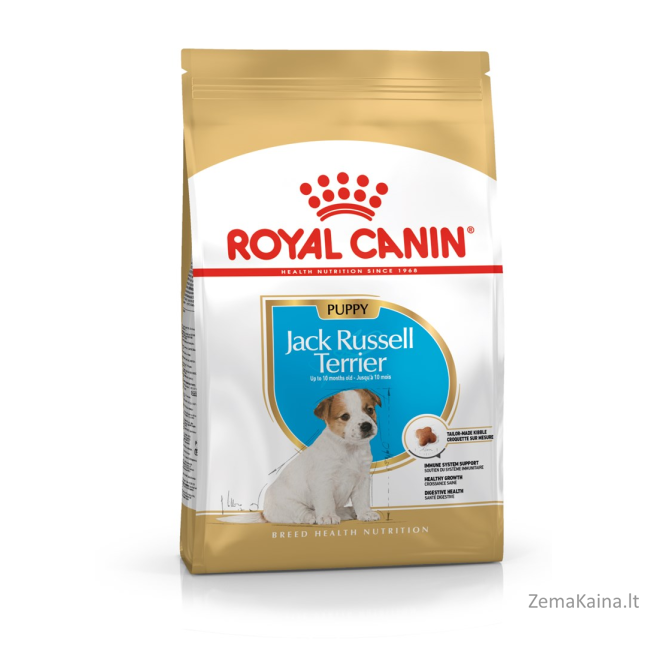 Royal Canin SHN Breed Jack Russell Junior - Sausas šunų maistas Paukštiena, Ryžiai - 3 kg