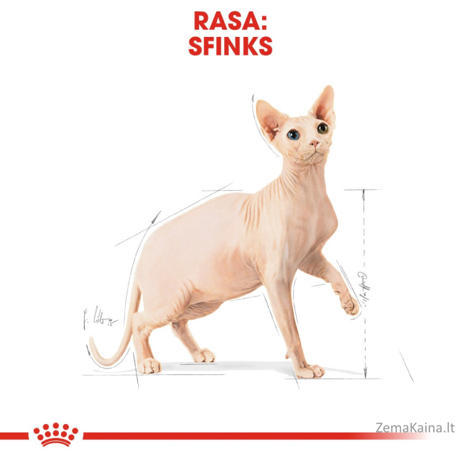 Royal Canin Sphynx sausas kačių maistas 2 kg 6