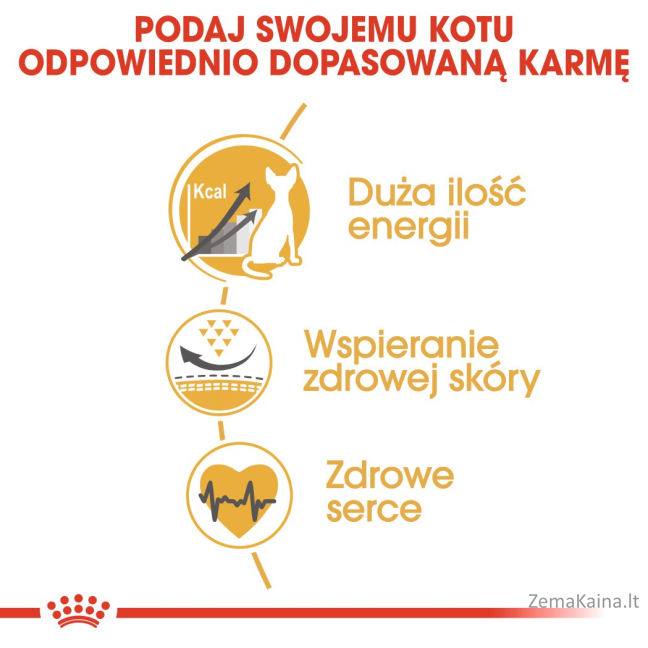 Royal Canin Sphynx sausas kačių maistas 2 kg 8