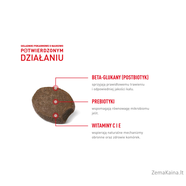 ROYAL CANIN Supplements Dog Immunity & Digest Puppy - šunų vitaminai - 100g 10