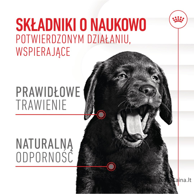 ROYAL CANIN Supplements Dog Immunity & Digest Puppy - šunų vitaminai - 100g 15