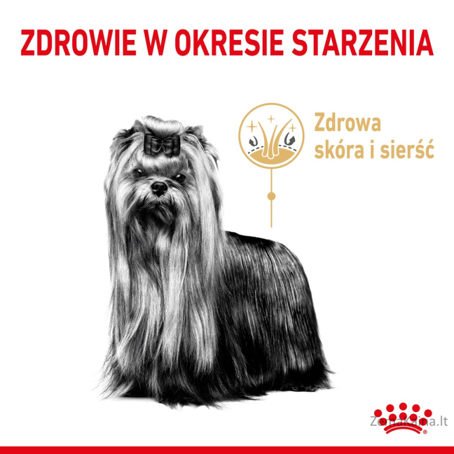ROYAL CANIN Yorkshire Terrier 8+ Sausas šunų maistas Paukštiena 1,5 kg 2