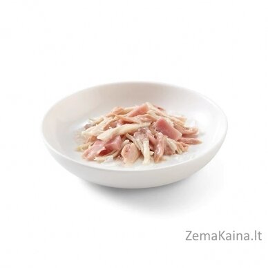 SCHESIR in jelly Tuna and chicken with ham - šlapias kačių maistas - 50 g 1