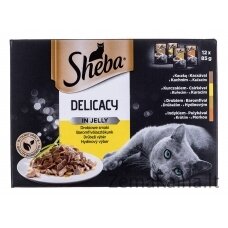 Sheba Delicacy in Jelly Chicken Flavours 12 x 85 g