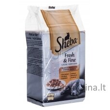 Sheba Fresh & Fine Mini Poultry Dishes in Sauce 6 x 50g