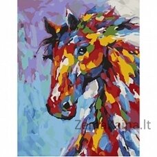 Tapymas pagal skaičius Colourful horse 40x50 cm T257