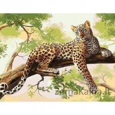 Tapymas pagal skaičius Leopard 40x50 cm T122