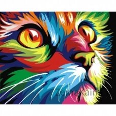 Tapymas pagal skaičius Rainbow Cat 40x50 cm S066