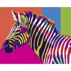 Tapymas pagal skaičius Rainbow Zebra 40x50 cm T077