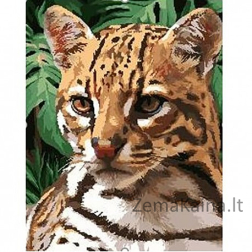 Tapymas pagal skaičius Ocelot  40x50 cm H152