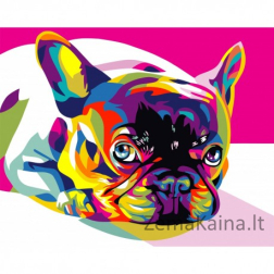 Tapymas pagal skaičius Rainbow french bulldog 40x50 cm T080