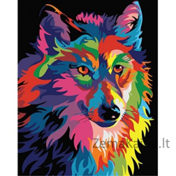 Tapymas pagal skaičius Rainbow Wolf 40x50 cm T102