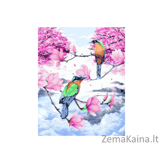 Tapymas pagal skaičius 40X50 CM H109