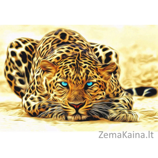 Tapymas pagal skaičius: Tigras (50x40cm MF009)