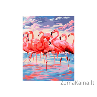 Tapymas pagal skaičius Flamingai 40X50 CM H112