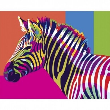 Tapymas pagal skaičius Rainbow Zebra 40x50 cm T077