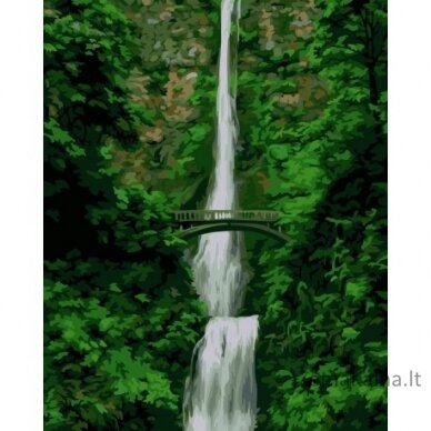 Tapymas pagal skaičius Waterfall 40x50 cm T330
