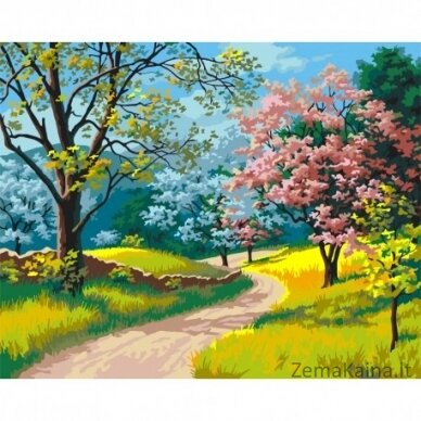 Tapymas pagal skaičius Wizardi Blooming Spring 40x50 cm T067