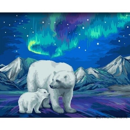 Tapymas pagal skaičius Aurora Borealis 40x50 cm H095