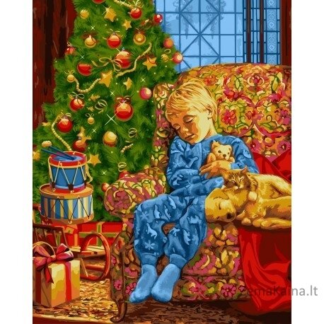 Tapymas pagal skaičius Christmas Night 40x50 cm L021