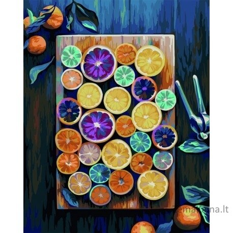 Tapymas pagal skaičius Fruit Mix 40x50 cm T307