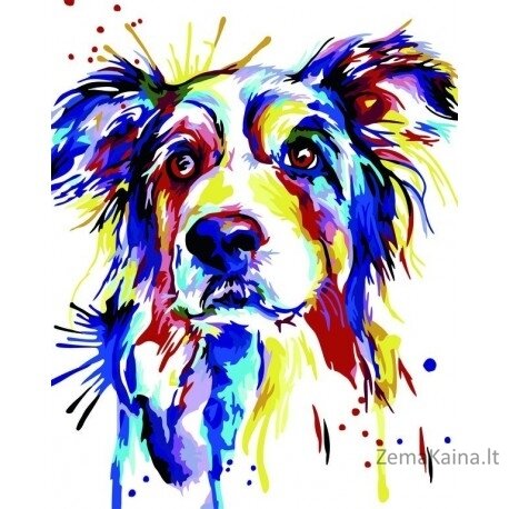 Tapymas pagal skaičius Human friend 40x50 cm T121