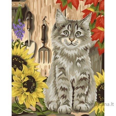Tapymas pagal skaičius Kitten and Sunflowers 40x50 cm H058