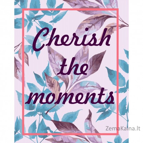 Tapymas pagal skaičius T001 Cherish the moments 40x50