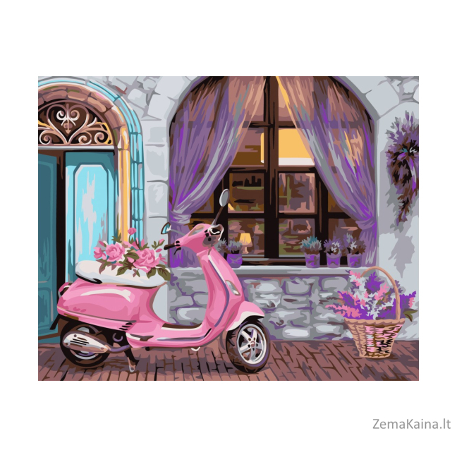 Tapymas pagal skaičius 40X50 CM A088