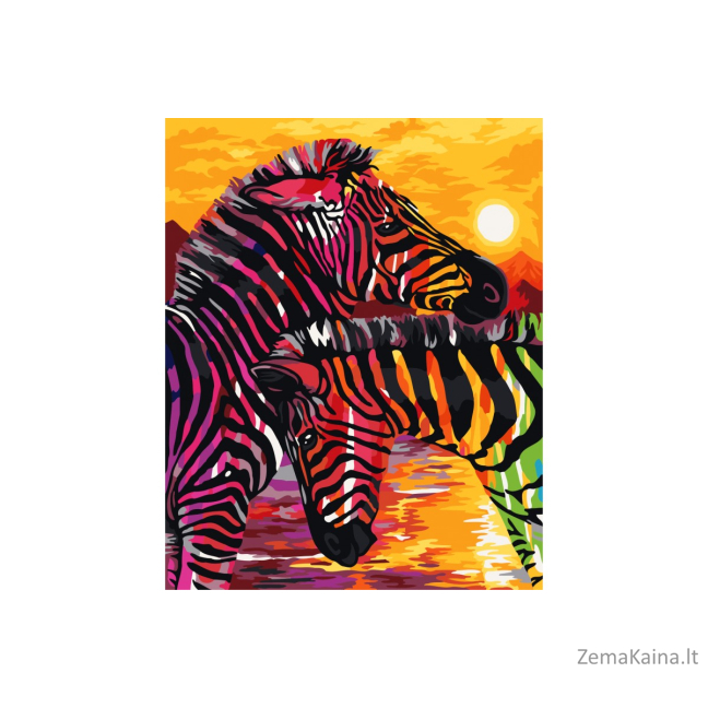 Tapymas pagal skaičius 40X50 CM H069