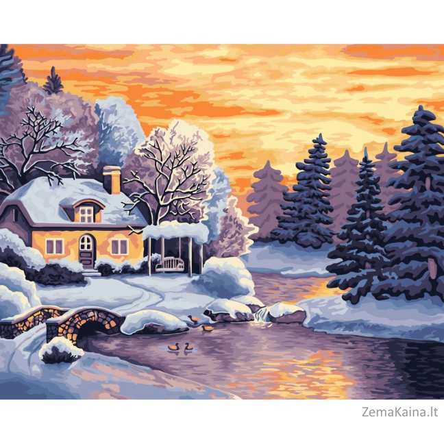 Tapymas pagal skaičius A073 40 x 50
