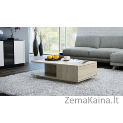 Topeshop DENVER SONOMA kavos staliukas, staliukas prie lovos, kitas mažas staliukas Nestandartinė forma 1 kojos