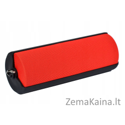 Toshiba Fab TY-WSP70 red