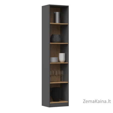 Topeshop R40 ANT/ART knygų lentyna biurui 1
