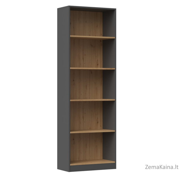 Topeshop R60 ANT/ART knygų lentyna biurui