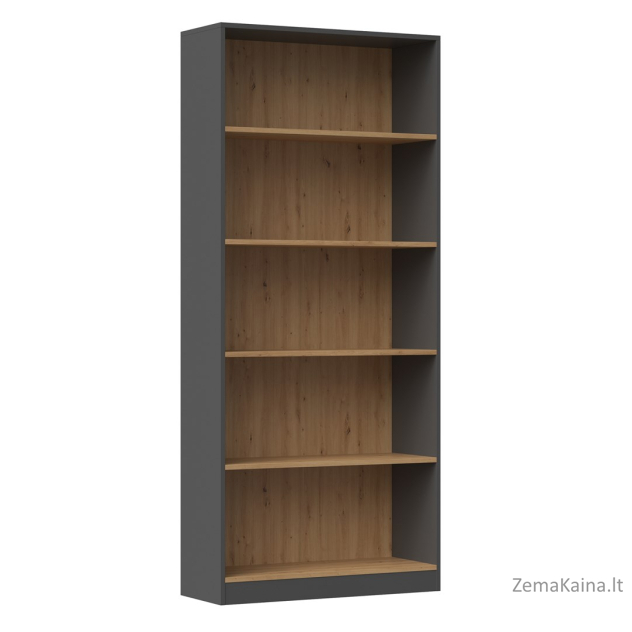 Topeshop R80 ANT/ART knygų lentyna biurui