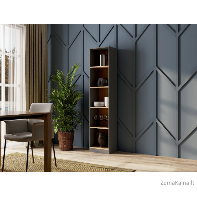 Topeshop R40 ANT/ART knygų lentyna biurui 2