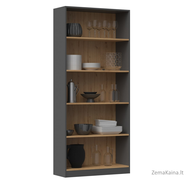 Topeshop R80 ANT/ART knygų lentyna biurui 1