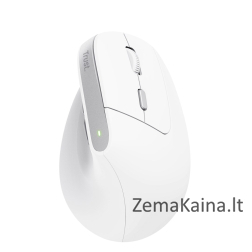 Trust Bayo II mouse Office Right-hand RF Wireless Optical 2400 DPI
