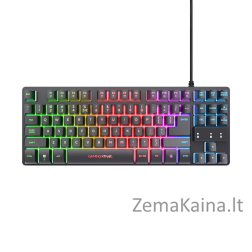 Trust GXT 833 Thado klaviatūra USB Olandijos Juoda, Sidabras