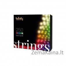 TWINKLY Strings 250 Special Edition (TWS250SPP-BEU) Išmaniosios Kalėdų eglutės lemputės 250 LED RGB+W 20 m