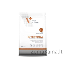VET EXPERT Veterinary Diet Intestinal Cat - sausas maistas katėms - 250 g